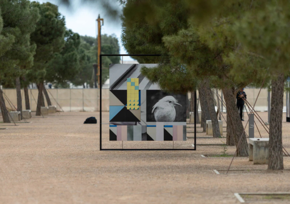 Claudia Wieser: Surroundings