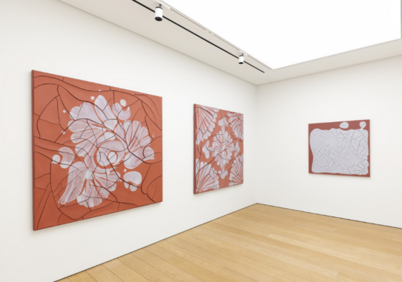 Adriana Varejão: Histórias Moldadas