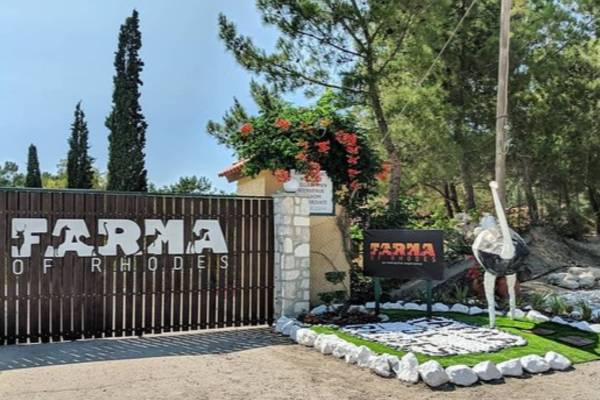 Farma of Rhodes