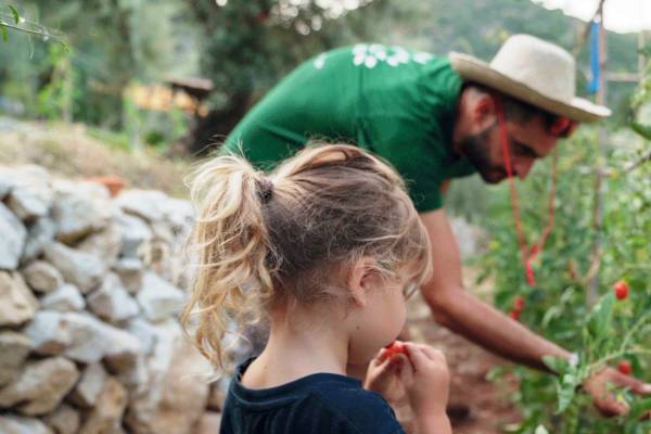 Lefkada Micro Farm