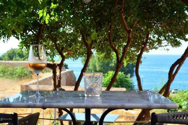 Oinia Wine Restaurant