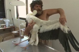 ART_IS_LONG_3_POULOPOULOS