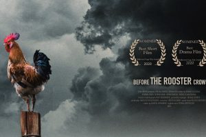 Before the Rooster Crows