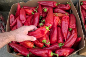 Hand of a man taking a red pepper from a cardboard box, view from above