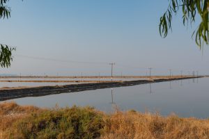 Salt flats near Aitoliko, Messolonghi, Greece