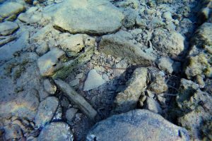 Remnants of the ancient city of Pavlopetri are still visible to those who visit the nearby island of Elafonissos in the Peloponnese