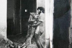 Poulopoulos Vertical