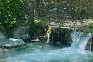 Pozar vertical IMG_6621