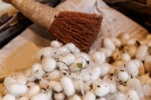 Sericulture step by step silk production process in Soufli Evros